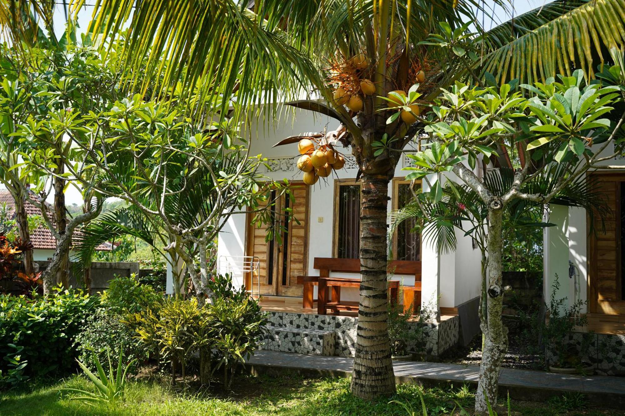 Wahyu Masari Homestay Sakti Esterno foto