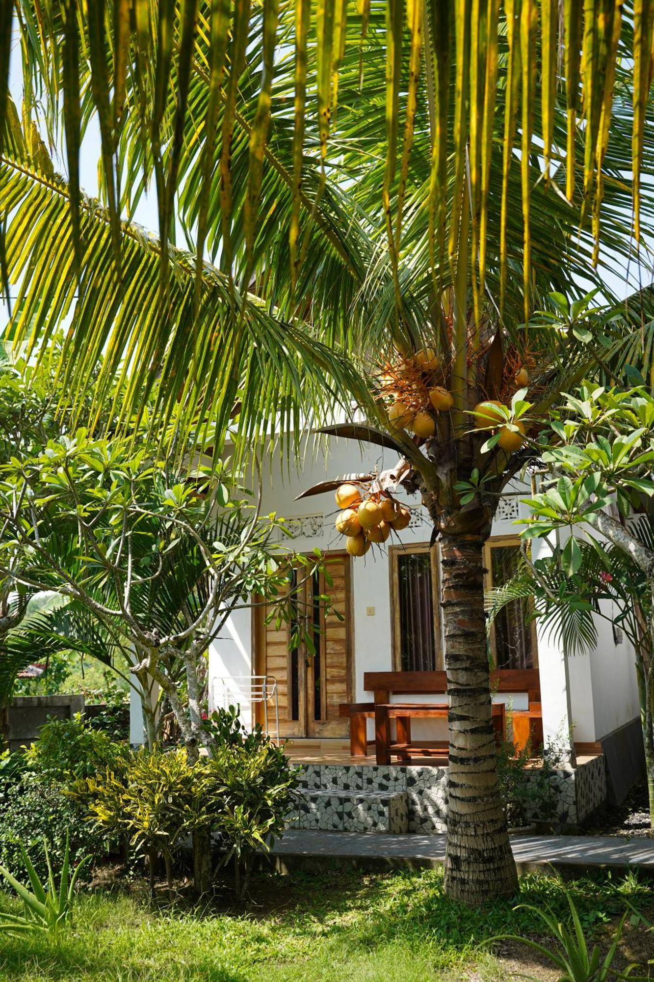 Wahyu Masari Homestay Sakti Esterno foto